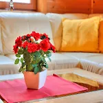 Prázdninový dům Alpine Comfort With Family *