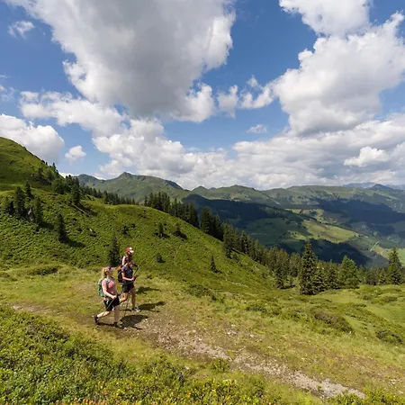 Alpine Comfort With Family فيلدشوناو